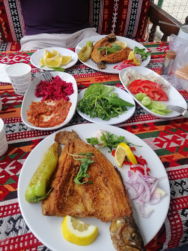 Comentarii opinii despre HAS AYDOĞDU Alabalık Tesisleri