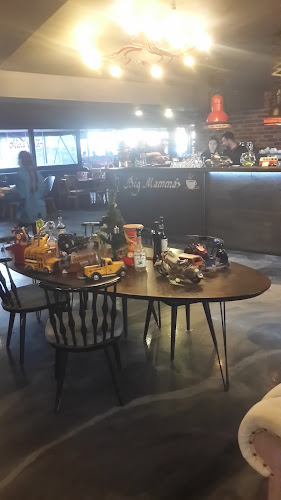 Comentarii opinii despre Big mammas