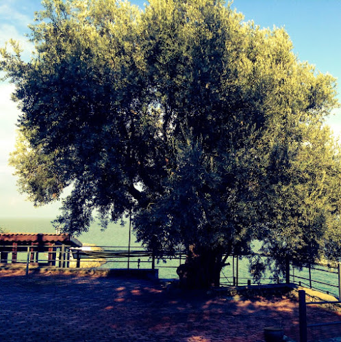 Comentarii opinii despre Falez Cafe