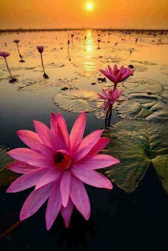 Comentarii opinii despre Akçaabat Ekmek Fırını