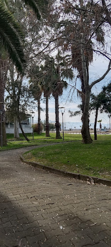 Şahbazoğlu Faroz Köfte - Trabzon Merkez