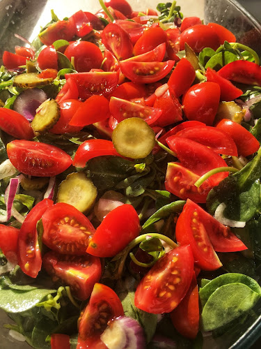 Shamrock INN - Gastronomi ve konaklama