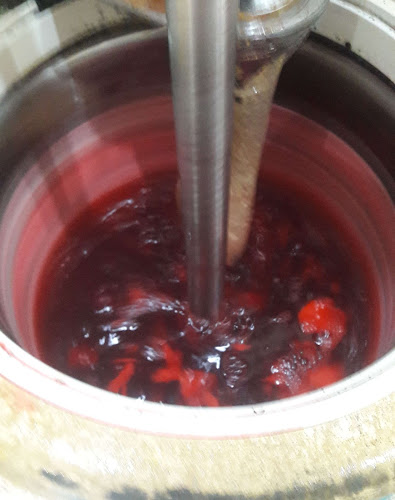 İSKENDERUN İSKELE LİMON DONDURMA BİCİBİCİ - Gastronomi ve konaklama