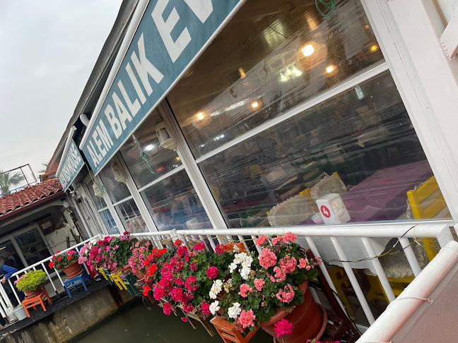 Comentarii opinii despre Alem Balıkevi