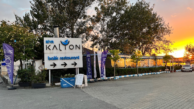 Comentarii opinii despre Kalyon Restoran Riva