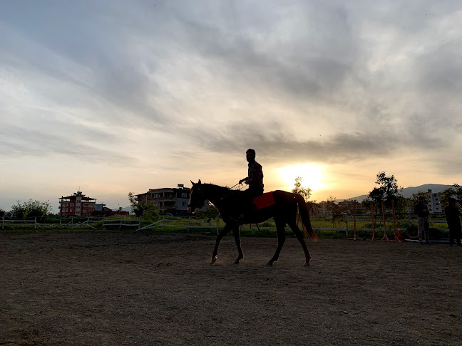 Akvaryum Cafe ve Binicilik Eğitim Merkezi - Antakya