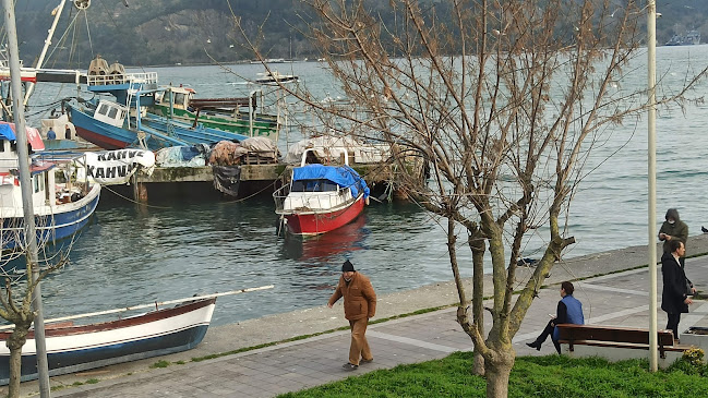 DOLPHIN BALIK RESTAURANT ( SARIYER BALIK RESTAURANT) - Gastronomi ve konaklama