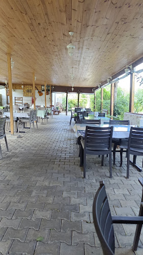 Comentarii opinii despre Mola Restoran