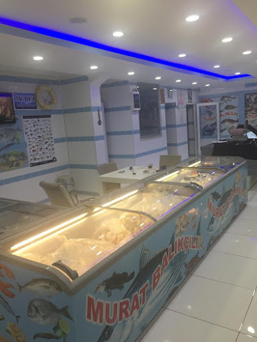 Murat Balıkçılık Side - Gastronomi ve konaklama