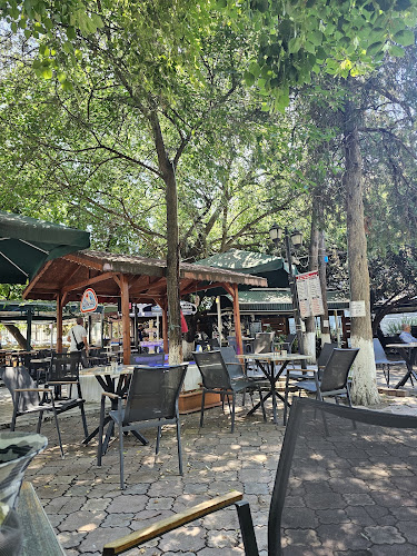 Üç Şerefeli (Burmalı) Camii Çay Bahçesi, Babademirtaş, Babatimurtaş Sokak No:2, 22020 Edirne