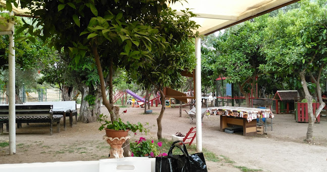 Bahçe survivor çocuk oyun alanları