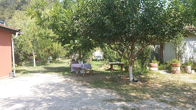 ayşem köy kahvaltısı - Gastronomi ve konaklama