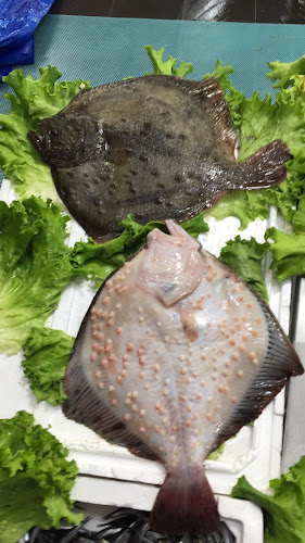 Comentarii opinii despre DALYAN BALIKÇI