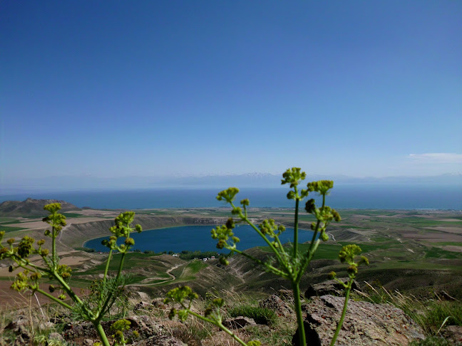 Aygır Gölü Alabalık Tesisi - Gastronomi ve konaklama