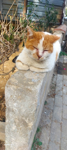 Tarihi Safranbolu Fırını (Feneryolu)