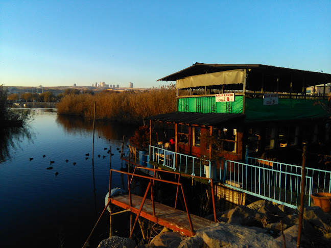 Comentarii opinii despre İskele Deniz Ürünleri