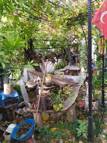 Coffee Nostalji - Gastronomi ve konaklama