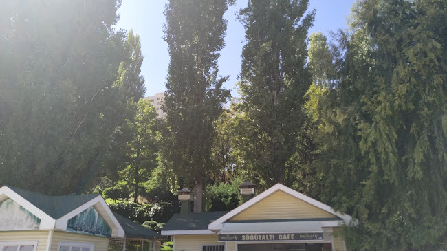 Opinii despre Söğütaltı Cafe în Ankara - Gastronomi ve konaklama