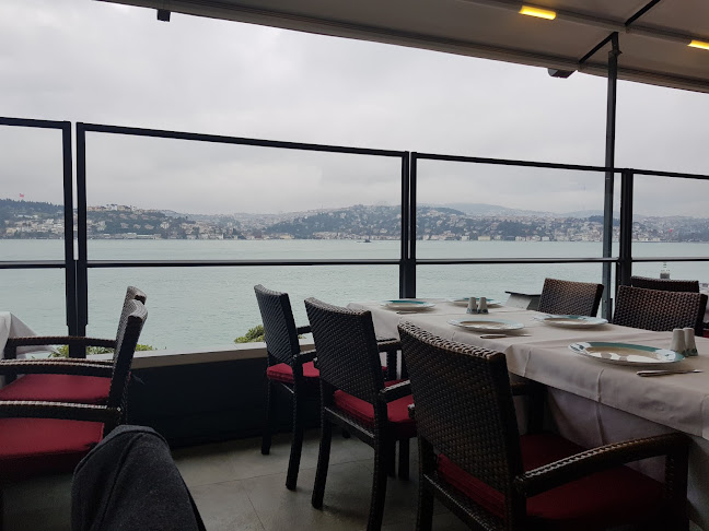 Mavi Balık - Beşiktaş