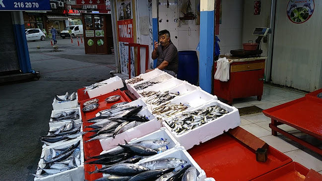 Hacısiyam, Tabaklar Sk. No:4, 28200 Giresun Merkez/Giresun