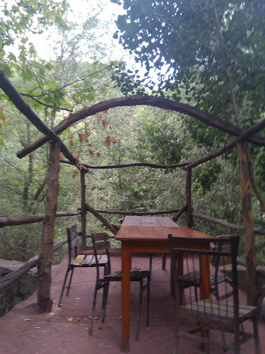 Niksar Kavlağanlık Alabalık Tesisi - Niksar