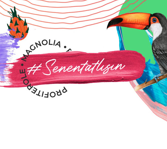 Le Profitti Coffee - Ni̇lüfer