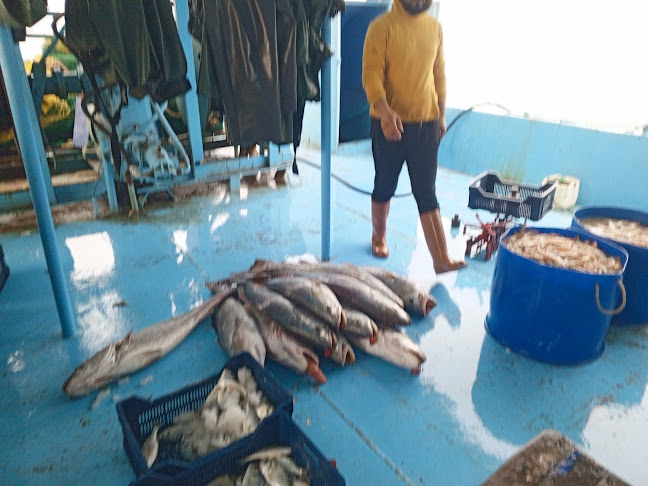 Karşıyaka, 01900 Karataş/Adana