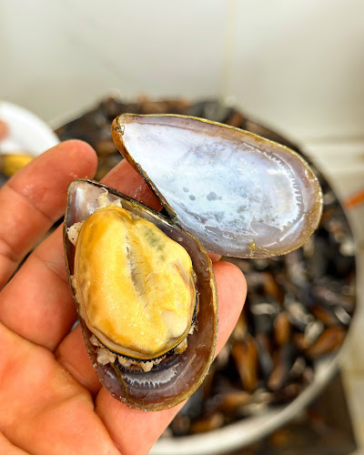 Barış Midye Didim - Gastronomi ve konaklama