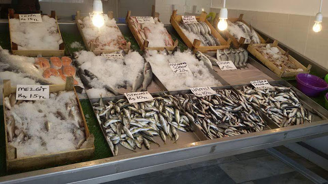 Barman Balıkçılık Kırklareli