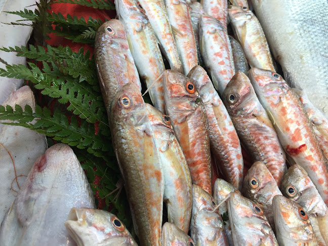 Battı Balık restorant - Silivri