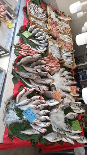 Comentarii opinii despre Balıkçınız Alkan Sarıgazi