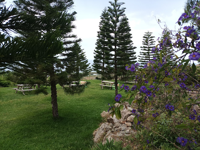 Seki, 07430 Alanya/Antalya, Türkiye