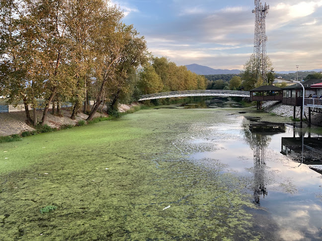 Comentarii opinii despre Balıkçı Selim