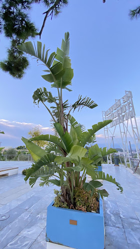 Comentarii opinii despre Yapay şelale coffee