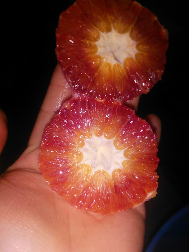 İzmir Pide Lahmacun Fırını - Gastronomi ve konaklama