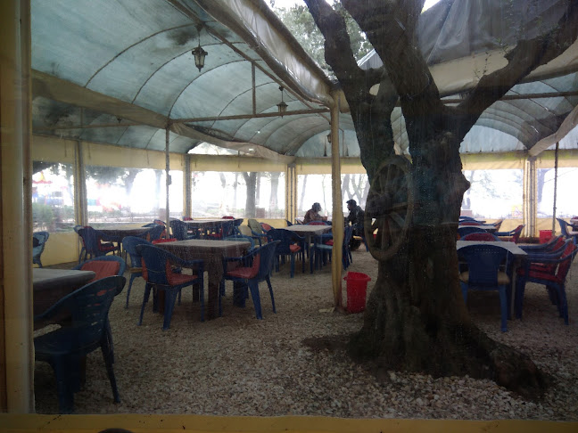 Comentarii opinii despre Yeşil İznik Çay Bahçesi