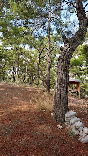 Güven Gözleme - Gastronomi ve konaklama