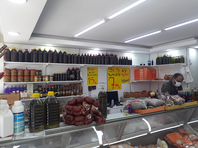 Tavuk Terbiyecisi Şen Piliç Banvit Beypiliç - Çukurova