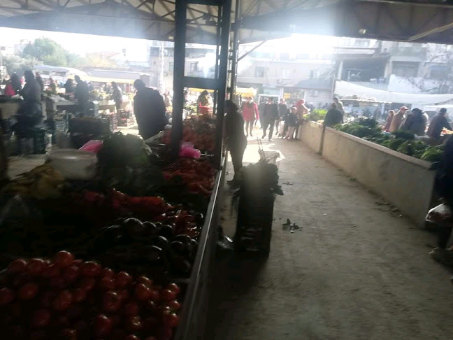 Comentarii opinii despre Serinyol Pazar Sahası