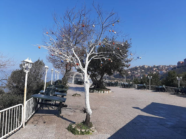 Comentarii opinii despre Zonguldak Tabip Odası Lokali