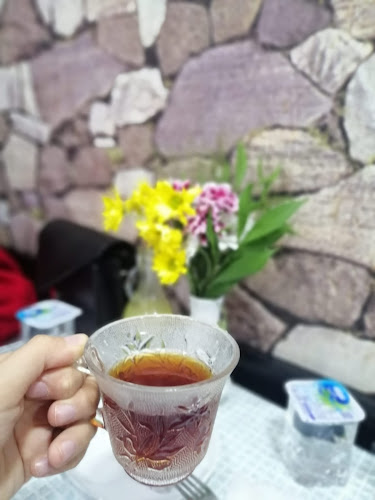 Düzce Yunus Balıkçılık - Düzce