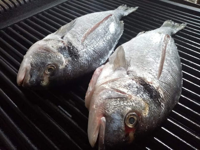 Tekirdağ balıkçı Turgutreisbalık/Alkolsüz - Süleymanpaşa