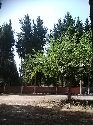 Opinii despre Özerler Ekmek Fırını în İskenderun - Gastronomi ve konaklama