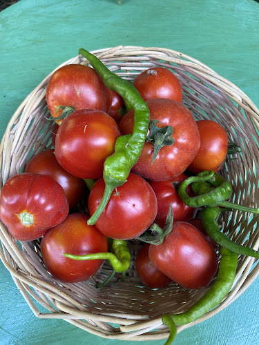 Comentarii opinii despre Kupula Bahçe Kahvaltı & Restaurant