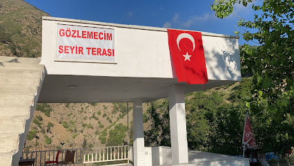 Gözlemecim seyirterası