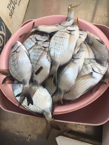 Murat Balıkçılık Side - Gastronomi ve konaklama