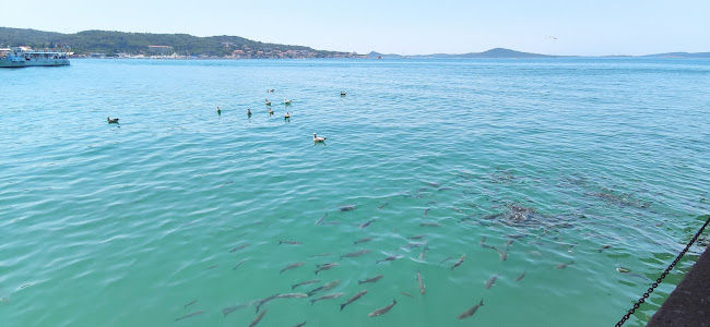 Ayvalık Gücü 1 - Ayvalık