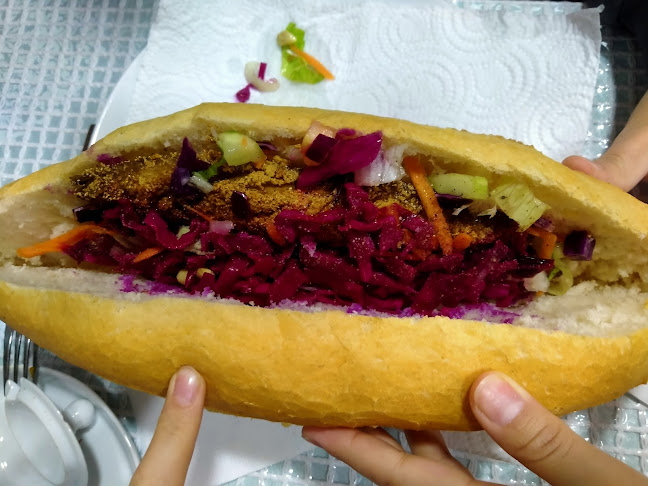 Düzce Yunus Balıkçılık