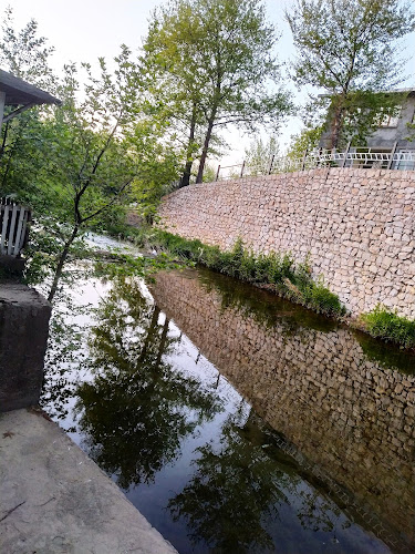 Opinii despre Karaman Alabalık Ve Dinlenme Tesisleri în Evciler/Bayramiç - Gastronomi ve konaklama