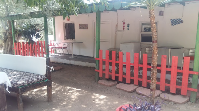 Comentarii opinii despre Bahçe survivor çocuk oyun alanları